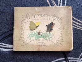 Sommervögel, Märchen von E. Kreidolf