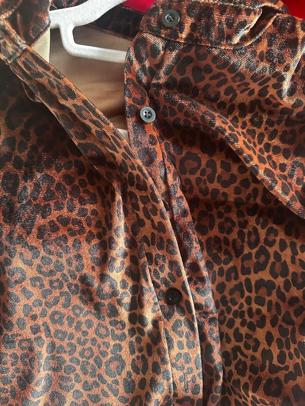 Camicette: BLUSE MIT LEOPARDENMUSTER, GRÖSSE S – Usato da Haldenstein venduto da enie123 2