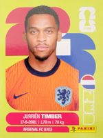 Panini FIFA World Cup NED 5