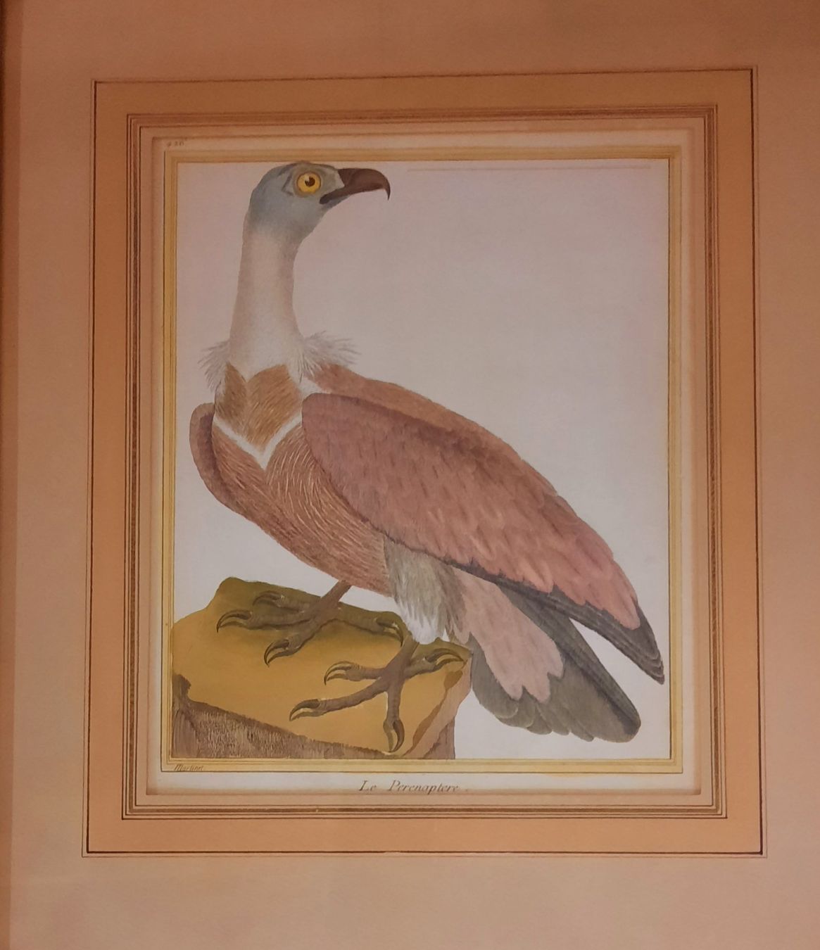 Dipinti: FRANCOIS NICOLAS MARTINET 1725- 1804 – Usato da Genève venduto da Enigme8 1