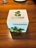 Neuer ecocube Glücksklee im Holz, Geschenkidee, OVP🍀!
