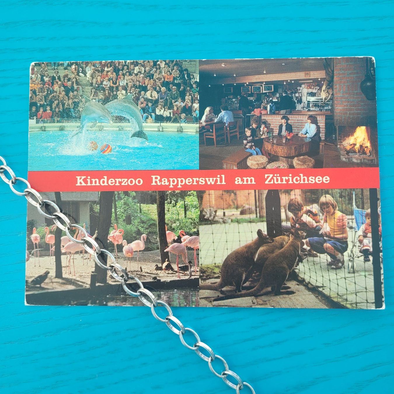 Cartoline postali: Kinderzoo Rapperswil (SG) – Usato da SCHÜBELBACH venduto da CoKaHa