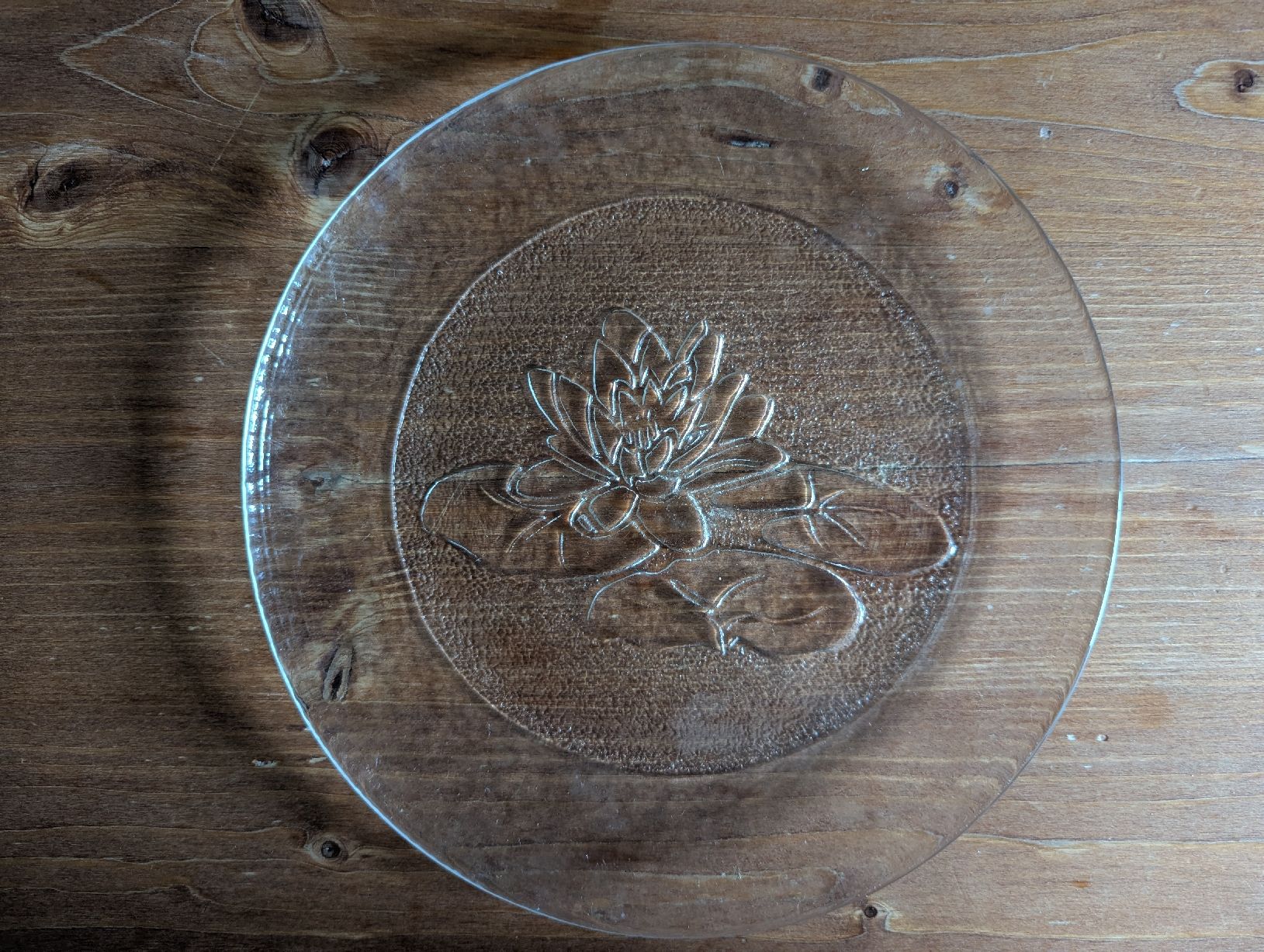 Teller: Glas Teller mit Blumenmuster 9 Stk gebraucht – Gebraucht aus Bern von Aarewasser_ 2