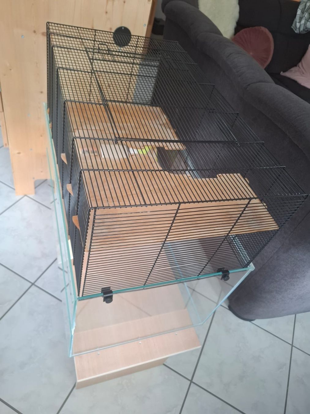 Gabbie, trasporto & Sicurezza: Gehege für Mäuse/Hamster – Usato da Rüegsauschachen venduto da xnaibaf 1