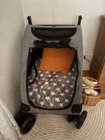 Haustierbuggy für Hunde und Katzen