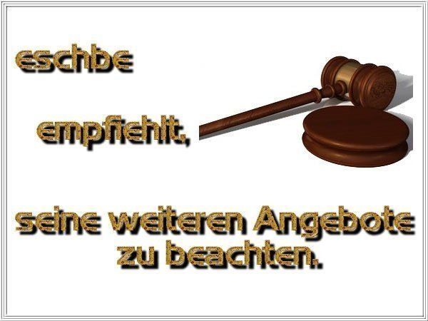 Skulpturen & Statuen: 37cm+38cm Bronze Tempelwächter Paar mit Singhas Löwe 8375 gr – Gebraucht aus Ostermundigen von eschbe 9