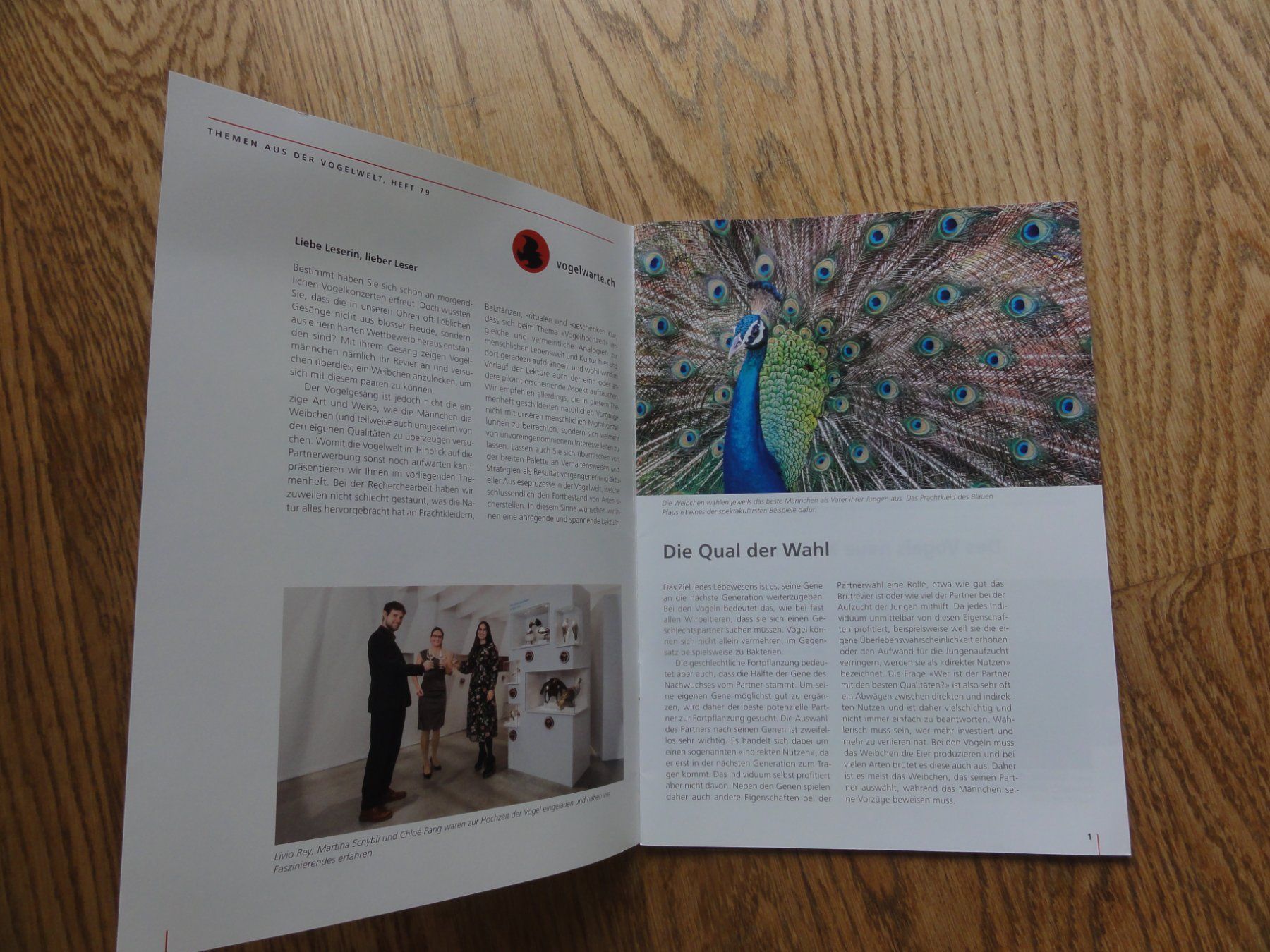 Libri: Die Vogelhochzeit – Nuovo (secondo la descrizione) da Riedholz venduto da Taweva 1