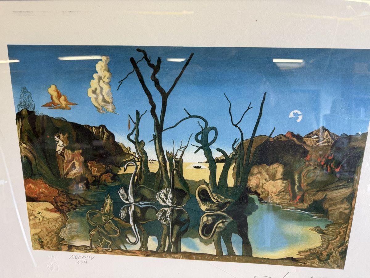 Grafica & Litografie: Salvador Dali Lithographie – Usato da Strengelbach venduto da RaenAntikDesign 1