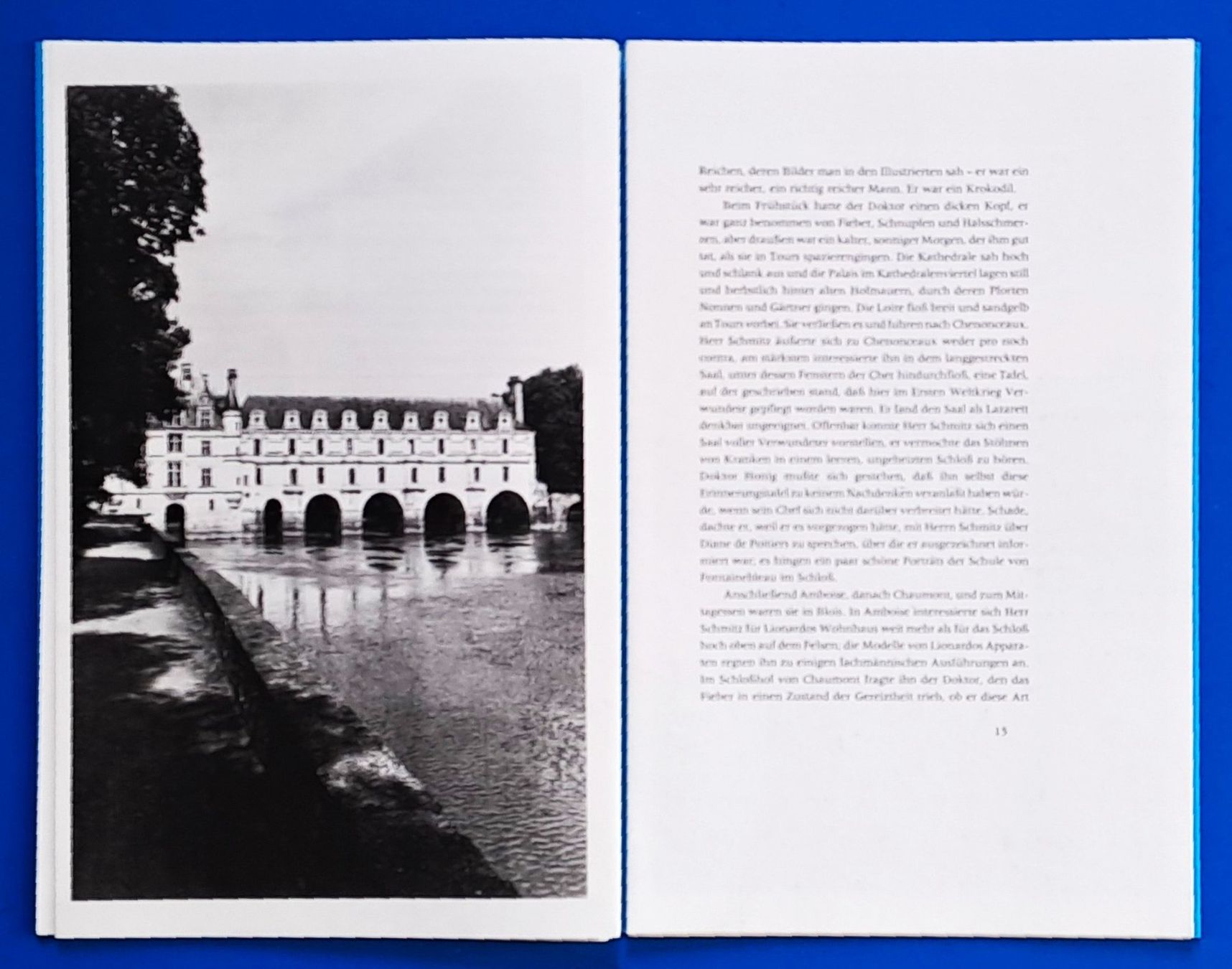 Libri: Alfred Andersch:Mit dem Chef nach Chenonceaux. Priv.Dr.49/72 – Usato da Zürich venduto da archiphil 4