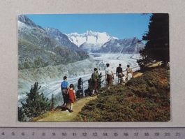 Aletschwald, Aletschgletscher, belebt, Wanderer, 1986