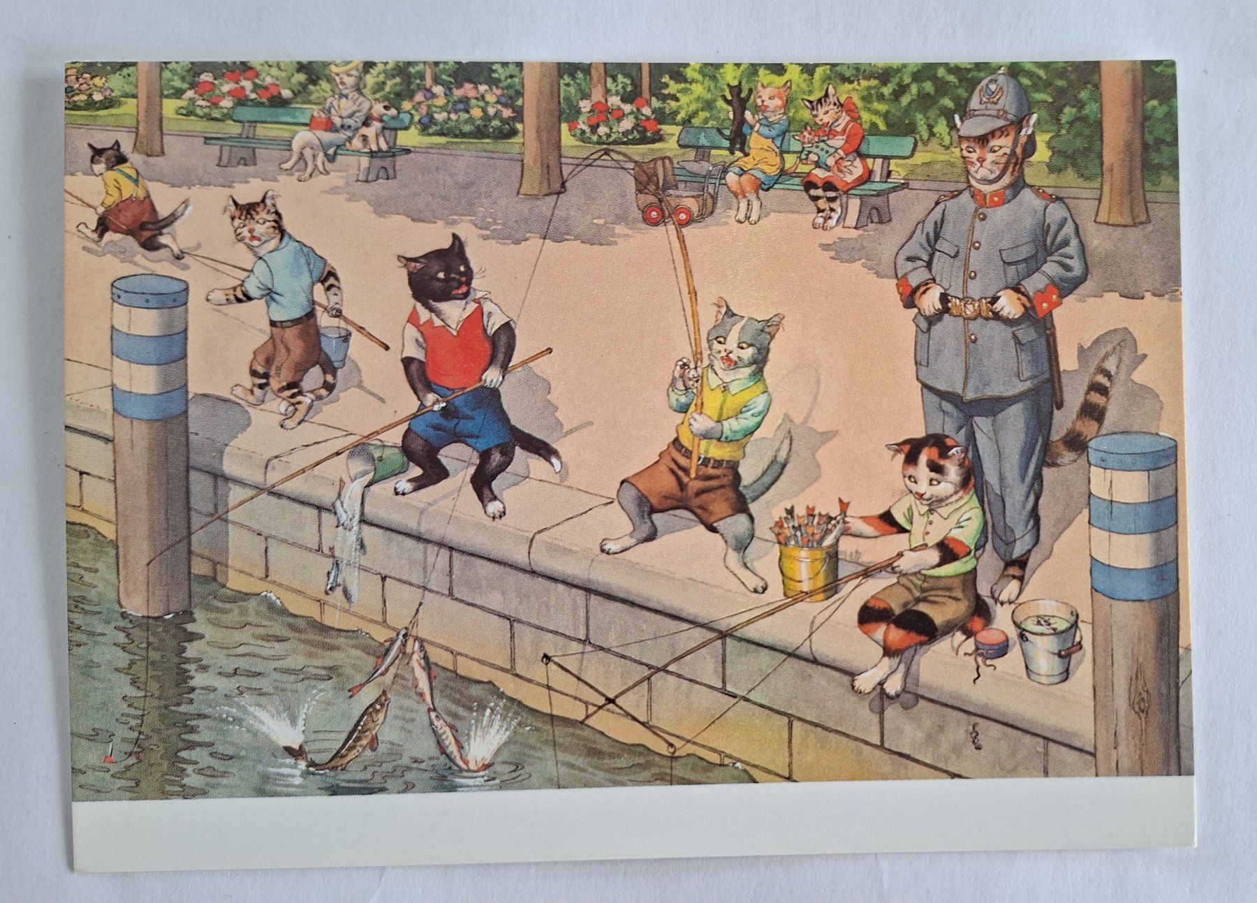Cartoline postali: AK Katzen Katzenkarte Nr. 225 – Usato da Opfikon venduto da Diversamente