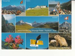 Schynige Platte Faulhorn First 2004