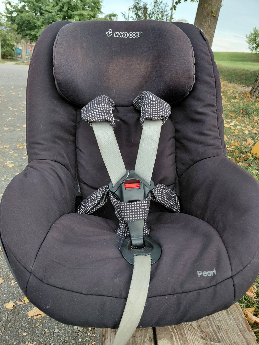 Maxi-Cosi Seggiolini per auto: Maxicosi Pearl Autositz – Usato da Wünnewil venduto da Rocobi