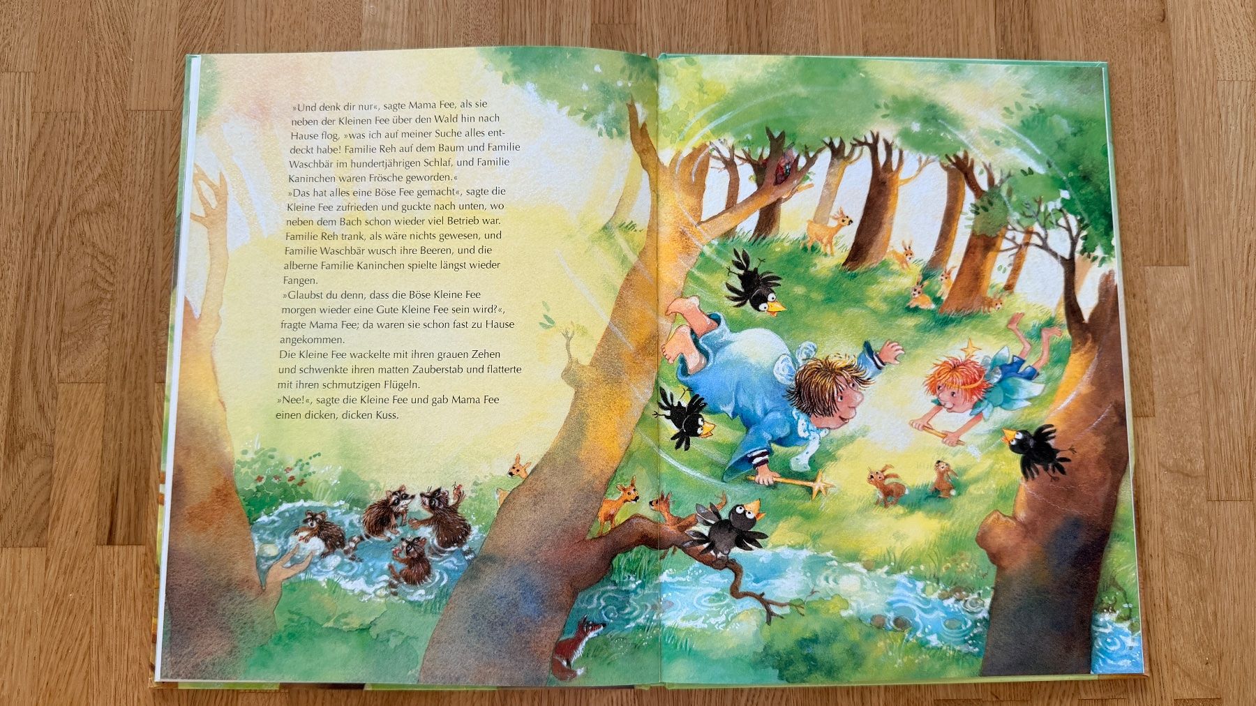 Libri: Buch - Nee! sagte die Fee – Usato da Winterthur venduto da Secondhand-Family 6