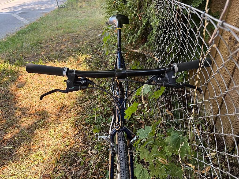 Biciclette: Coronado Allroad – Usato da Bern venduto da Reblo 4