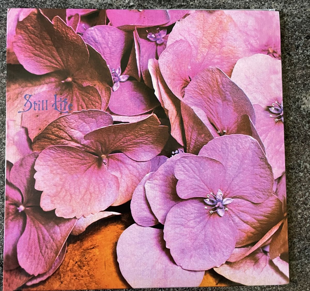 Dischi in vinile: Still Life - same - AKARMA Vinyl LP – Usato da Olten venduto da Bluespapst