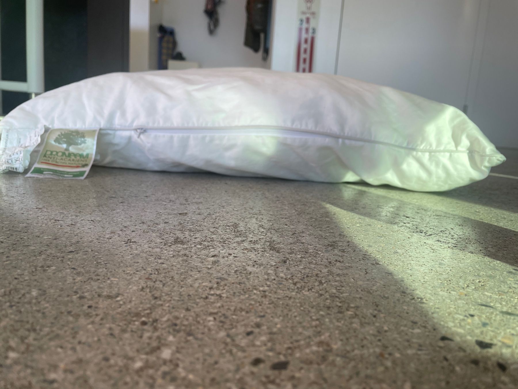 Cuscini: Oreiller – Usato da Sion venduto da tchana77 1