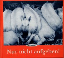Buch * NUR NICHT AUFGEBEN! * lustiges Motivationsbuch NEU