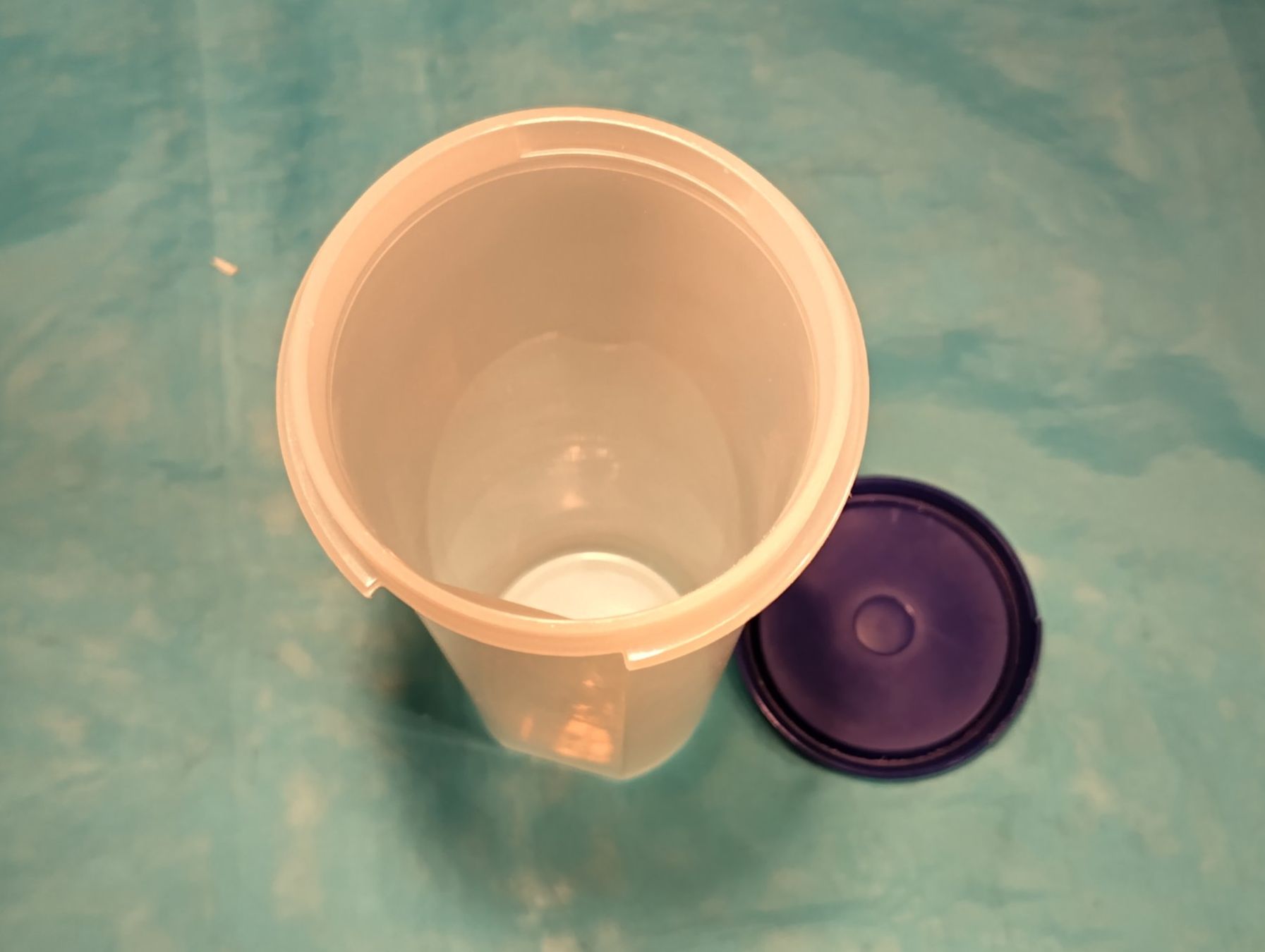 Tupperware Contenitori & Simili: Tupperware Behälter für Spaghetti – Usato da Bellach venduto da JingleCherry 4