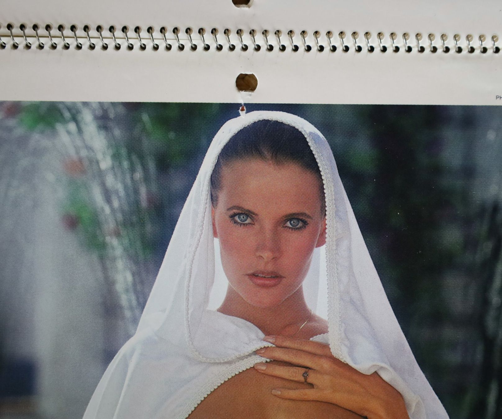 Playboy Calendari: PLAYBOY Kalender 1980 – Usato da Birrwil venduto da brandschatz_birrwil 3
