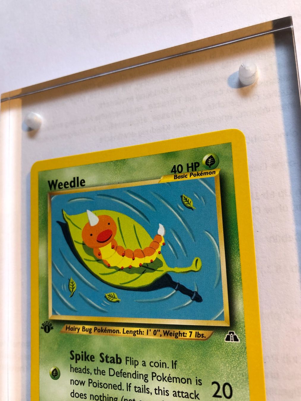 Carte collezionabili: Weedle 1st Neo Discovery - MINT - ab 1.- – Usato da Giubiasco venduto da dan_pr8b 3