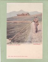 Albhornbläser Joueur de cor des alpes
