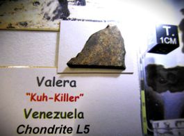 1,45 g vom Kuh-Killer - Meteorit Valera aus Venezuela