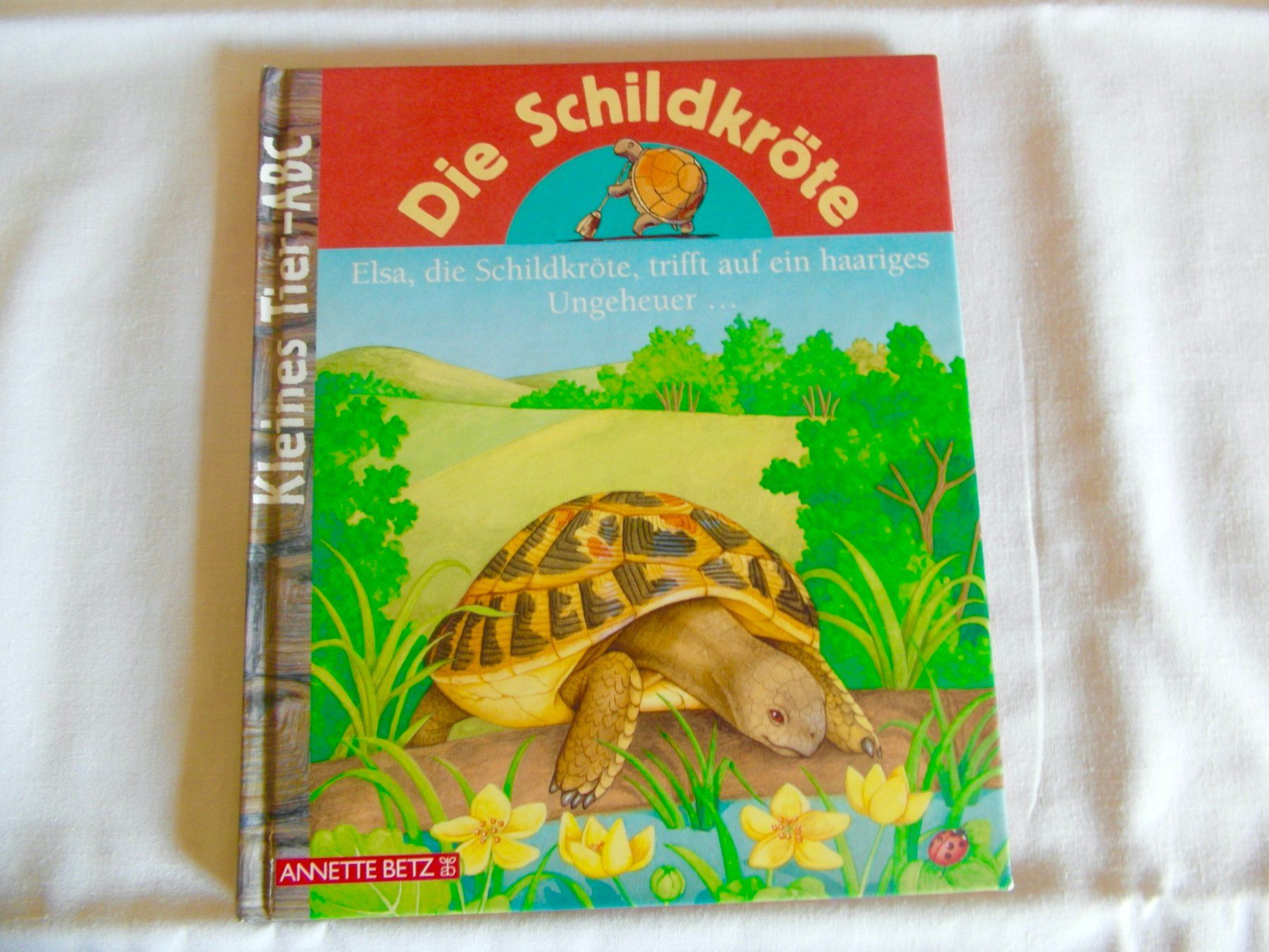Libri: Kinderbuch: Die Schildkröte - 2002 – Usato da Schönenbuch venduto da Imagine6