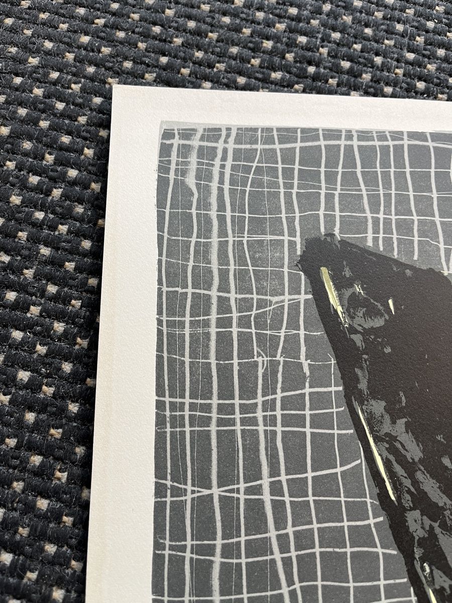 Grafica & Litografie: aus Grafiksammlung Lithografie von Ivan Mosca – Usato da Gelterfingen venduto da liq-nator 5