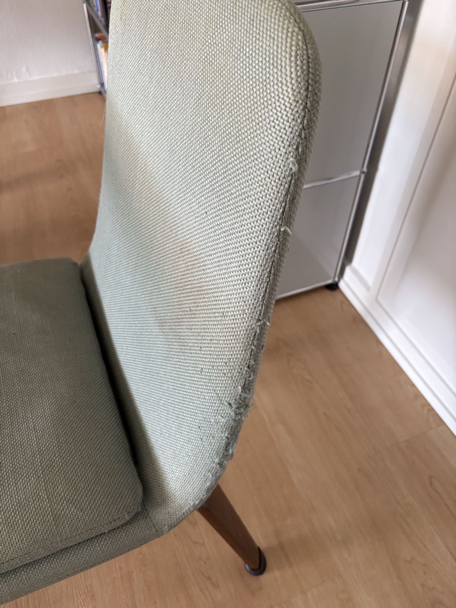 Minotti Sedie: Minotti Esszimmerstühle /Arson 4 Set, Farbe: 21 Celadon – Usato da Zollikon venduto da gse_bg2z 2