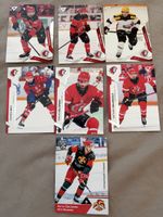 HC Lausanne Hockey Card