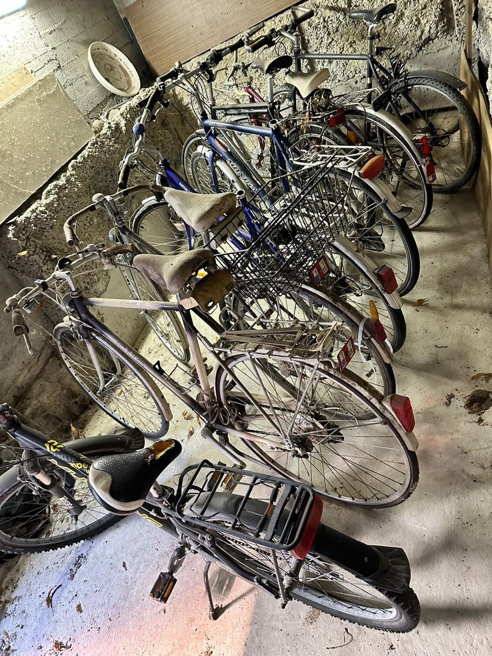Biciclette: Alte Fahrräder – Usato da Spreitenbach venduto da Space_X 1
