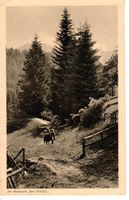 am Waldrand bei Heiden  1921