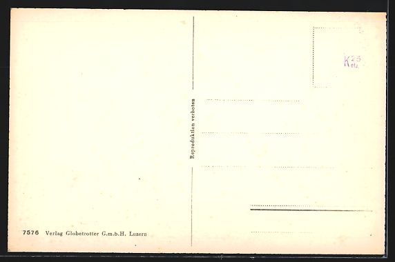Cartoline postali: Lenzburg, Totalansicht aus der Vogelscha – Usato da Berlin venduto da bartko-reher 1