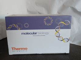 PCR Gefässe mit gewölbtem Deckel Tubes Thun Waled Domed cap