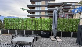 3× Künstliche Efeu-Sichtschutzmatte  je 150 × 300 cm