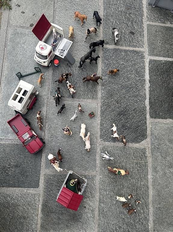 Schleich Giocattoli: 32 Schleichpferde mit Zubehör – Usato da Ermenswil venduto da Wou77 1