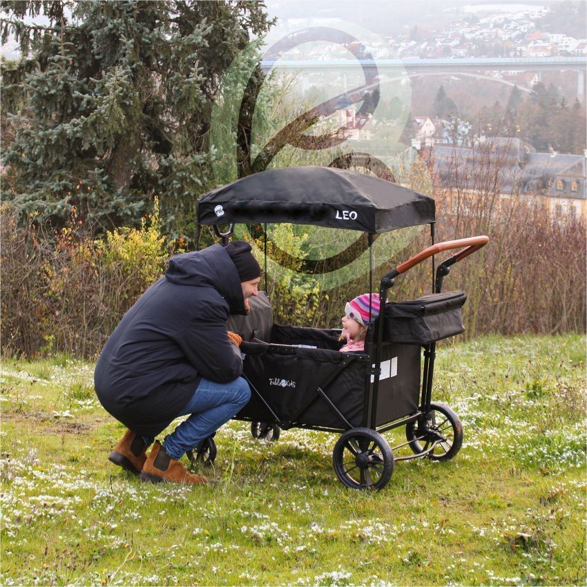 Kinderwagen: FableKids Bollerwagen LEO X2 Lite – Neu (gemäss Beschreibung) aus Nebikon von warendiscount