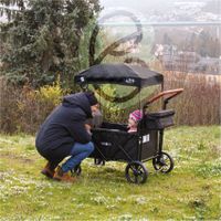 FableKids Bollerwagen LEO X2 Lite