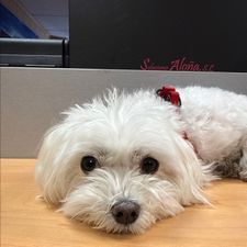 Profile image of cri_z8nj