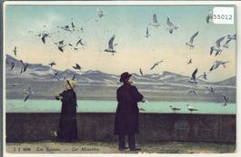 Lac Leman - Les Mouettes - Möven - Litho
