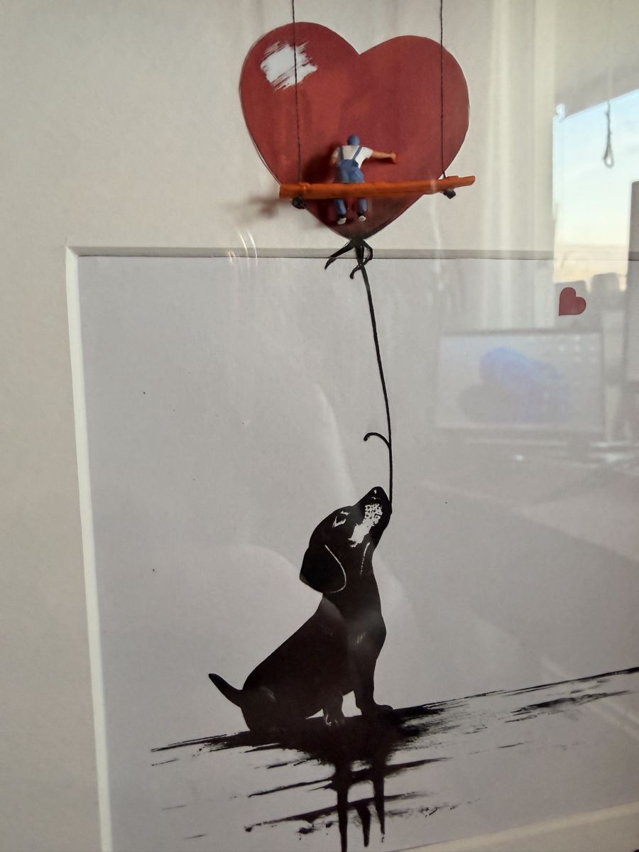 Foto & Immagini: Banksy Style 3D Bild mit Dackel – Nuovo e nell'imballaggio originale da Buchs ZH venduto da tiz_9mpn 2