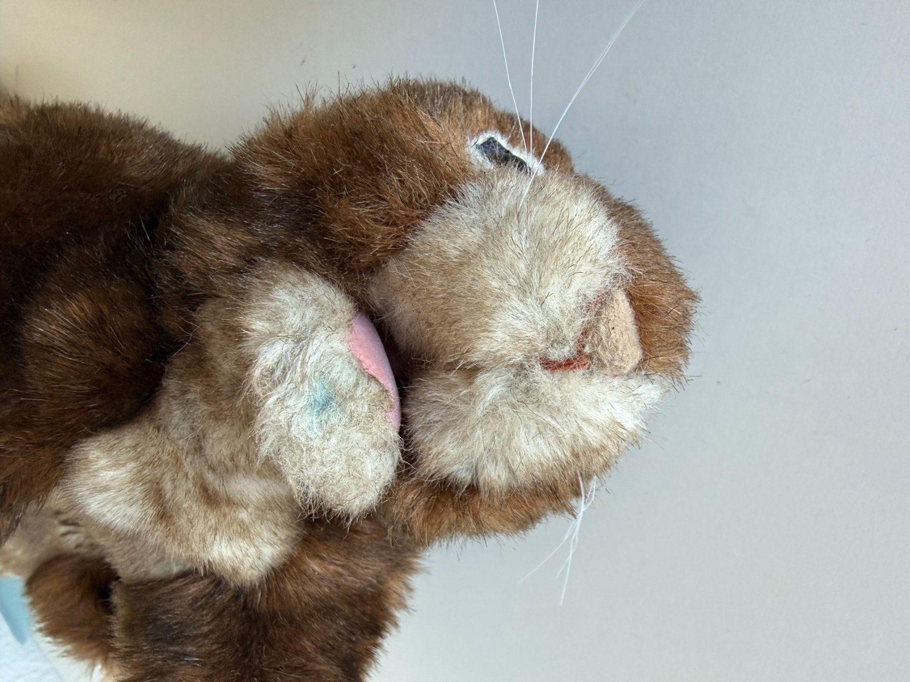 Giocattoli: Folkmanis Handpuppe rotbraunes Eichhörnchen – Usato da Winterthur venduto da brittalili 2