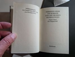 Hermann Hesse - Der Steppenwolf - 1981 Jubiläumsausgabe