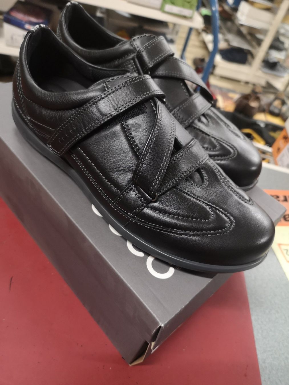 Ecco Chaussures hommes: Ecco – Neuf avec emballage d'origine à Möhlin par Highwaytom