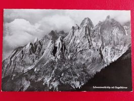 Schwarzwald-Alp mit Engelhörner