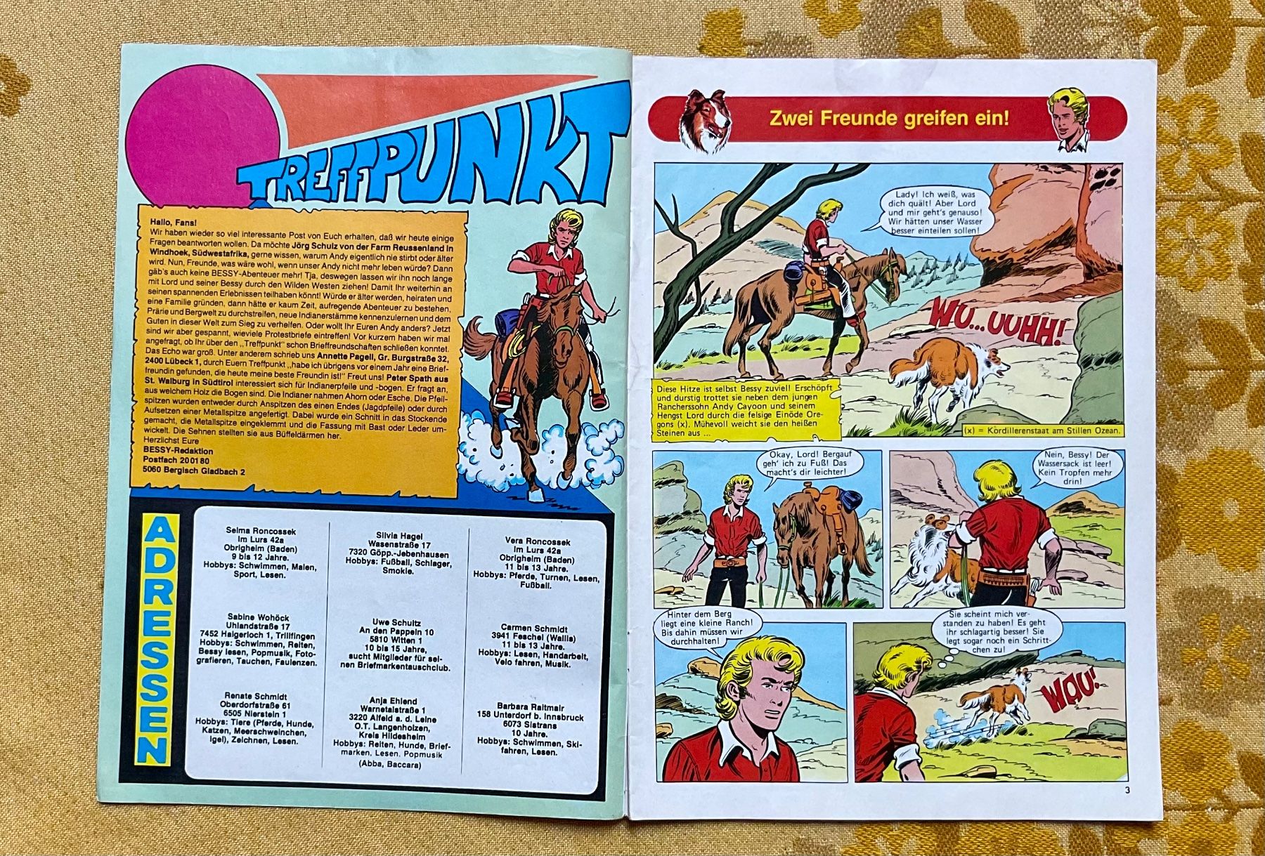 Comics: Bessy Heft Nr 612 von 1978 ? – Gebraucht aus Endingen von nathan05 1