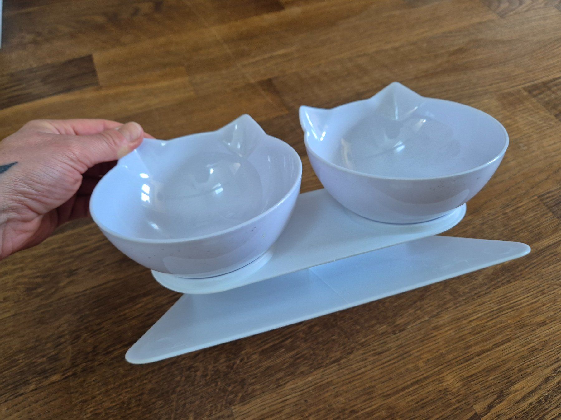 Mangimi: Cat  food bowl – Usato da Zürich venduto da monadiederich 1