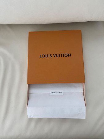 grosse geräumige LOUIS VUITTON Box, 26x26x3cm