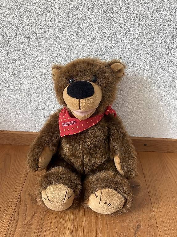 Bücher: Brummel der Geschichten Bär – Gebraucht aus Wigoltingen von Tigerlilly